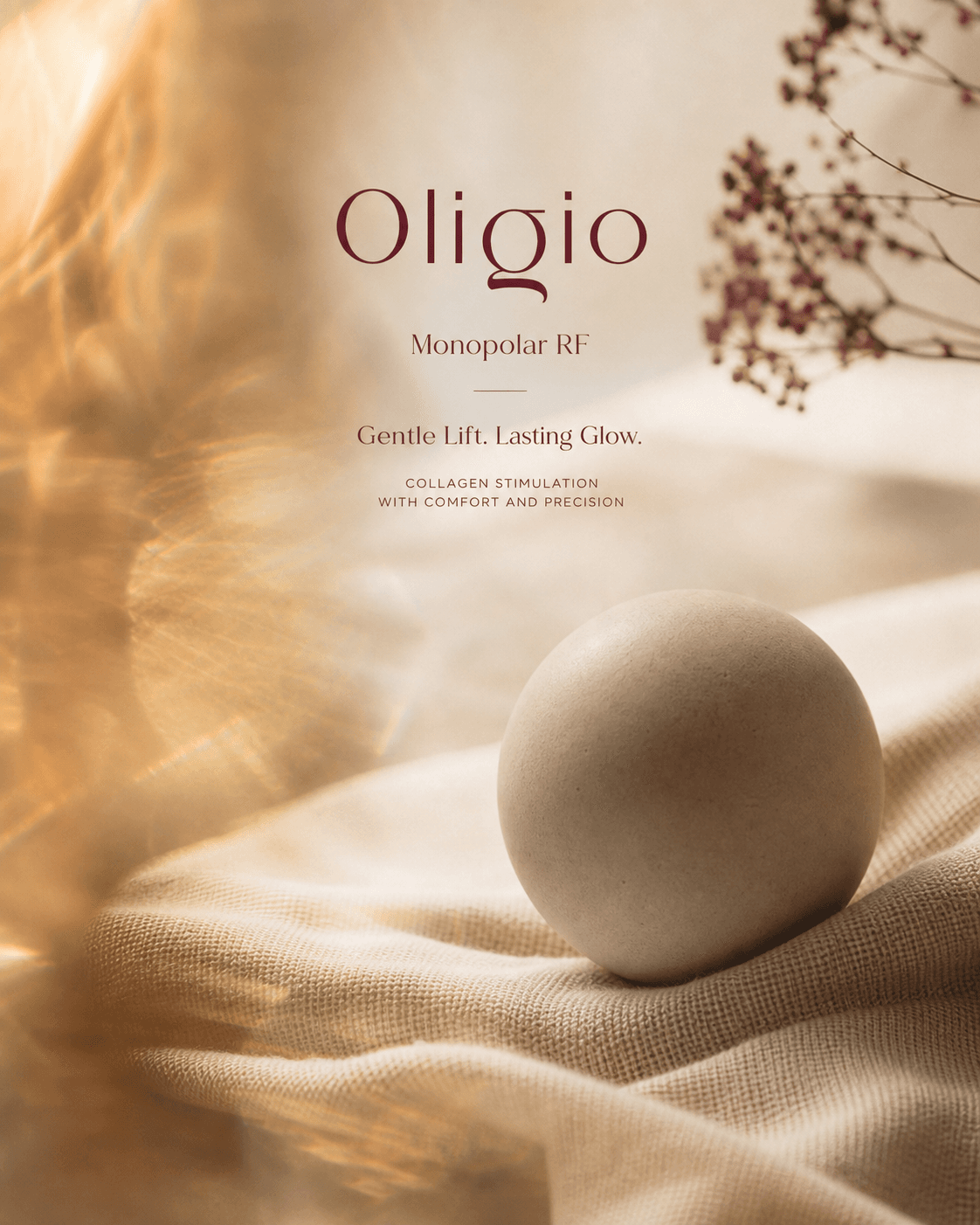 ภาพประกอบของ Oligio